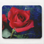 gorgeous pretty roses 02 mousepads
