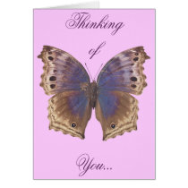 Gorgeous Purple Butterfly