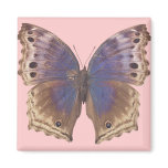 Gorgeous Purple Butterfly magnets