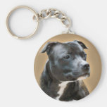 Gorgeous Stafford keychain
