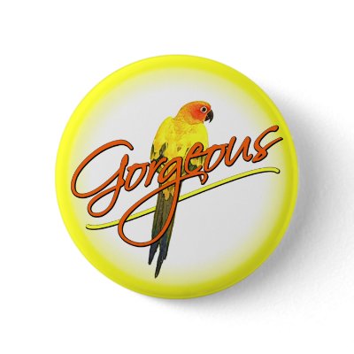 Gorgeous Sun Conure Button by MenagerieMayhem