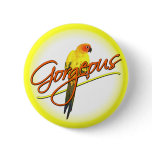 Gorgeous Sun Conure Button