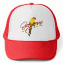 Gorgeous Sun Conure Hat