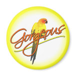 Gorgeous Sun Conure Magnet