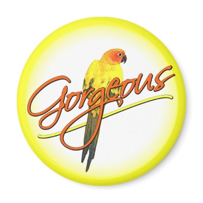 Gorgeous Sun Conure Magnet by MenagerieMayhem
