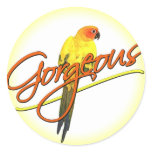 Gorgeous Sun Conure Stickers