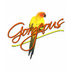 Gorgeous Sun Conure Women's TShirt