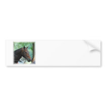 Gorgeous Warmblood Horse Bumper Stickers