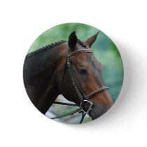 Gorgeous Warmblood Horse Button