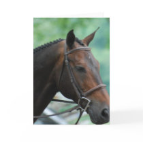 Gorgeous Warmblood Horse Greeting Card