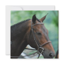 Gorgeous Warmblood Horse Invitations