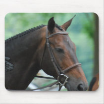 Gorgeous Warmblood Horse Mouse Pad