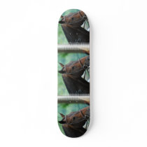 Gorgeous Warmblood Horse Skateboard