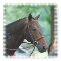 Gorgeous Warmblood Horse Stickers