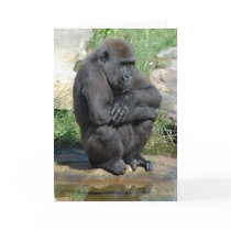 Gorila Sitting Greeting Card