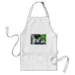 Gorilla aprons