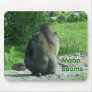 gorilla backside, Moon Beams