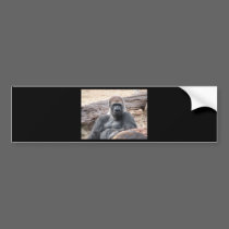gorilla bumper stickers