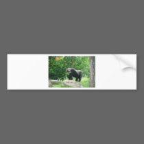 Gorilla bumper stickers