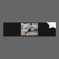 gorilla bumper stickers