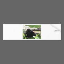 Gorilla bumper stickers
