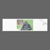 Gorilla bumper stickers
