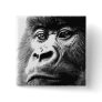 Gorilla Pins