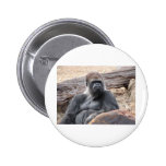 gorilla buttons
