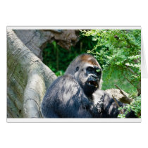 Gorilla Card