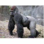 gorilla desk guard photo sculptures