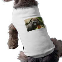 Gorilla Dog Shirt