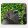 Gorilla Eating Salad Mousepad