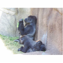 Gorilla Family Photo Cutouts