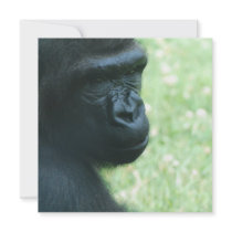 Gorilla Gaze Invitations