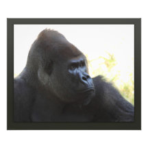 Gorilla Gaze Print Photo Art