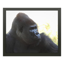 Gorilla Gaze Print