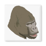 Gorilla head magnets