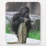 Gorilla Mousepad