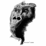 Gorilla Photo Sculpture