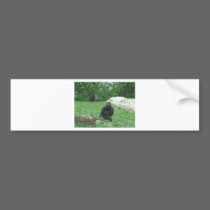 Gorilla pic bumper stickers
