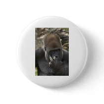 gorilla picking his nose - eeeewwwwwwww! pins