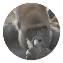 gorilla picking his nose - eeeewwwwwwww! sticker