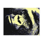 Gorilla Post Cards