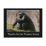 Gorilla Postcard
