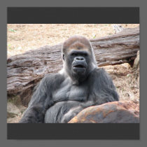gorilla posters