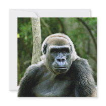 Gorilla Profile Invitation