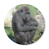 Gorilla Sitting Magnet