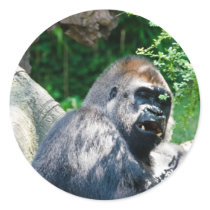 Gorilla Stickers
