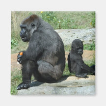 Gorilla Time Out Magnet  