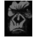 gorilla t-shirts